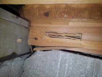 白蟻被害　玄関　床下
